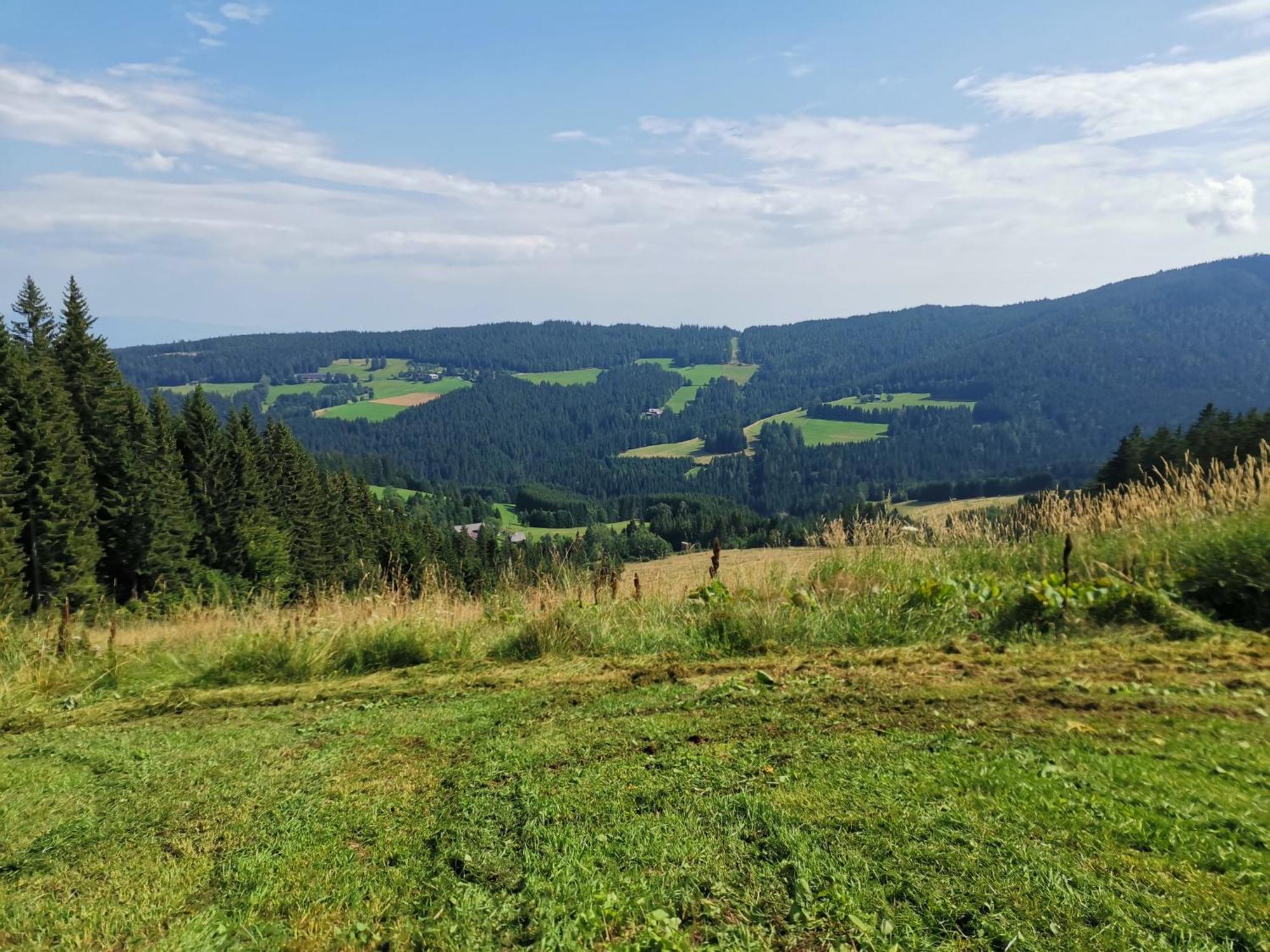Gaestehaus Hebalm, Family & Friends Auf 900 M2 Wohnflaeche Erleben, Alleinnutzung Moeglich Pack Exterior photo